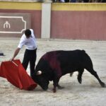 Tentadero de Daniel Luque en Valverde y Concha y Sierra