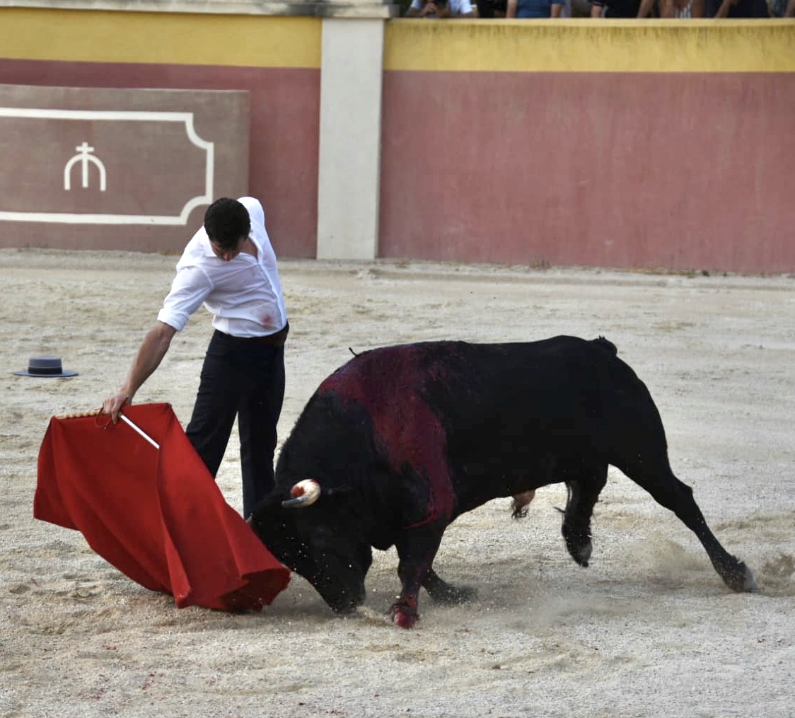 Tentadero de Daniel Luque en Valverde y Concha y Sierra