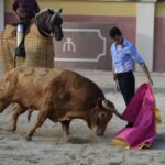 Tentadero de Daniel Luque en Valverde y Concha y Sierra