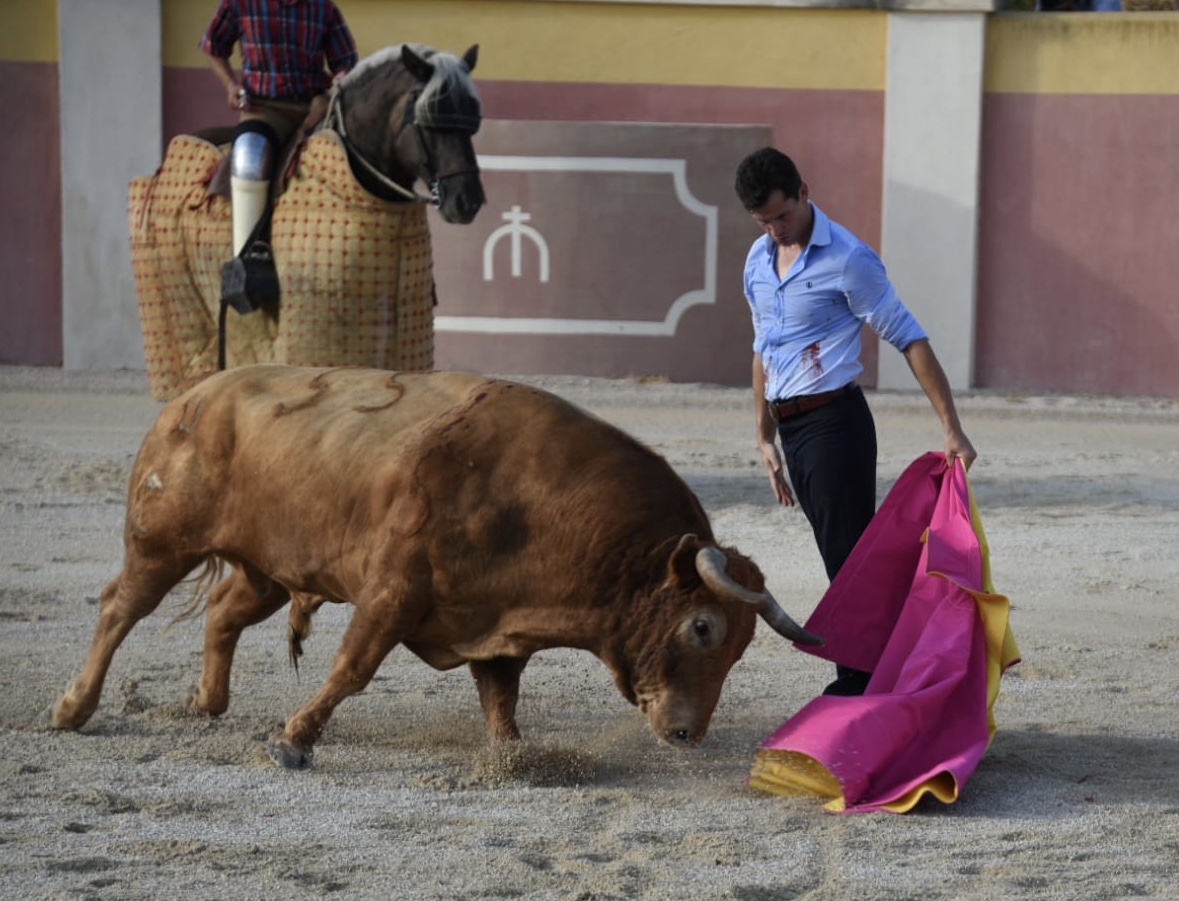Tentadero de Daniel Luque en Valverde y Concha y Sierra