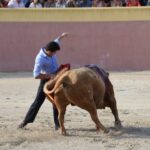 Tentadero de Daniel Luque en Valverde y Concha y Sierra