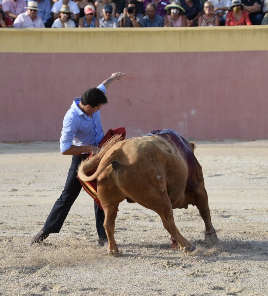 Tentadero de Daniel Luque en Valverde y Concha y Sierra