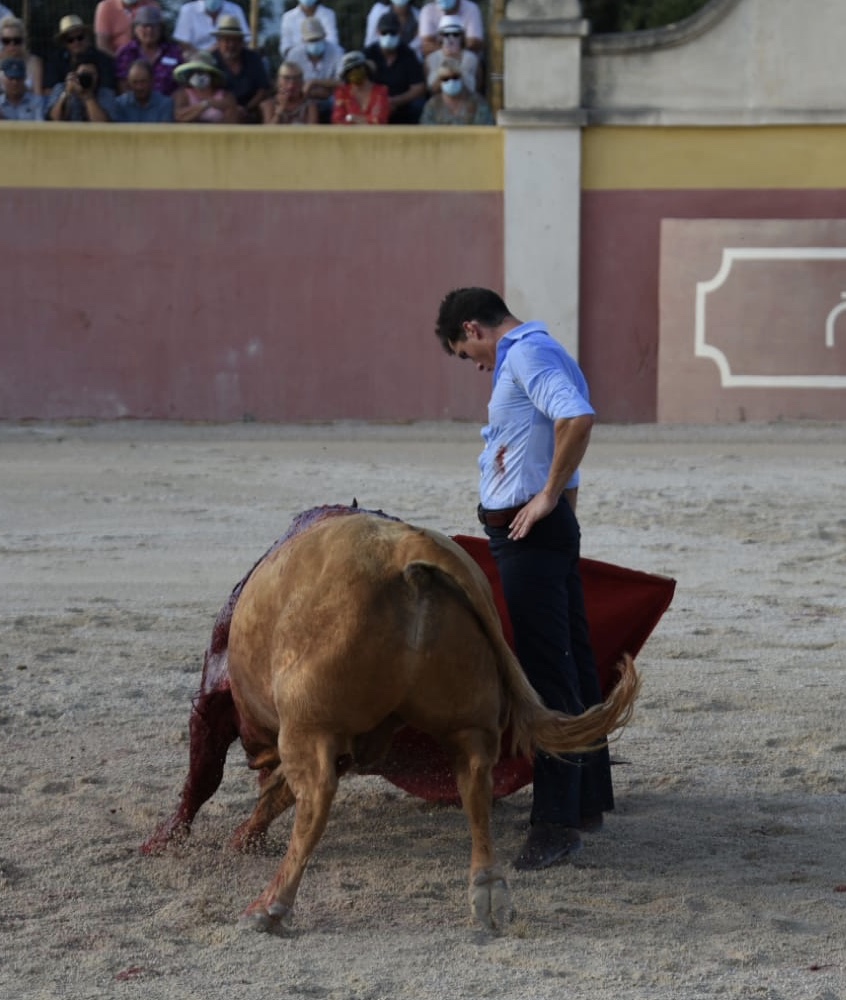 Tentadero de Daniel Luque en Valverde y Concha y Sierra