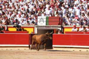 Pamplona, domingo 14 de julio de 2019