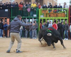 Bous al carrer