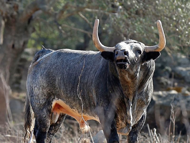 Fallece Juan Carlos Buendía, copropietario de Rehuelga