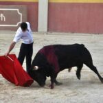 Tentadero de Daniel Luque en Valverde y Concha y Sierra