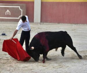 Tentadero de Daniel Luque en Valverde y Concha y Sierra