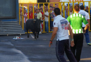 Encierro en Villaseca de la Sagra