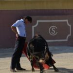 Tentadero de Daniel Luque en Valverde y Concha y Sierra