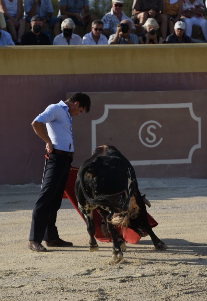 Tentadero de Daniel Luque en Valverde y Concha y Sierra