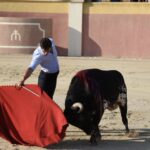 Tentadero de Daniel Luque en Valverde y Concha y Sierra