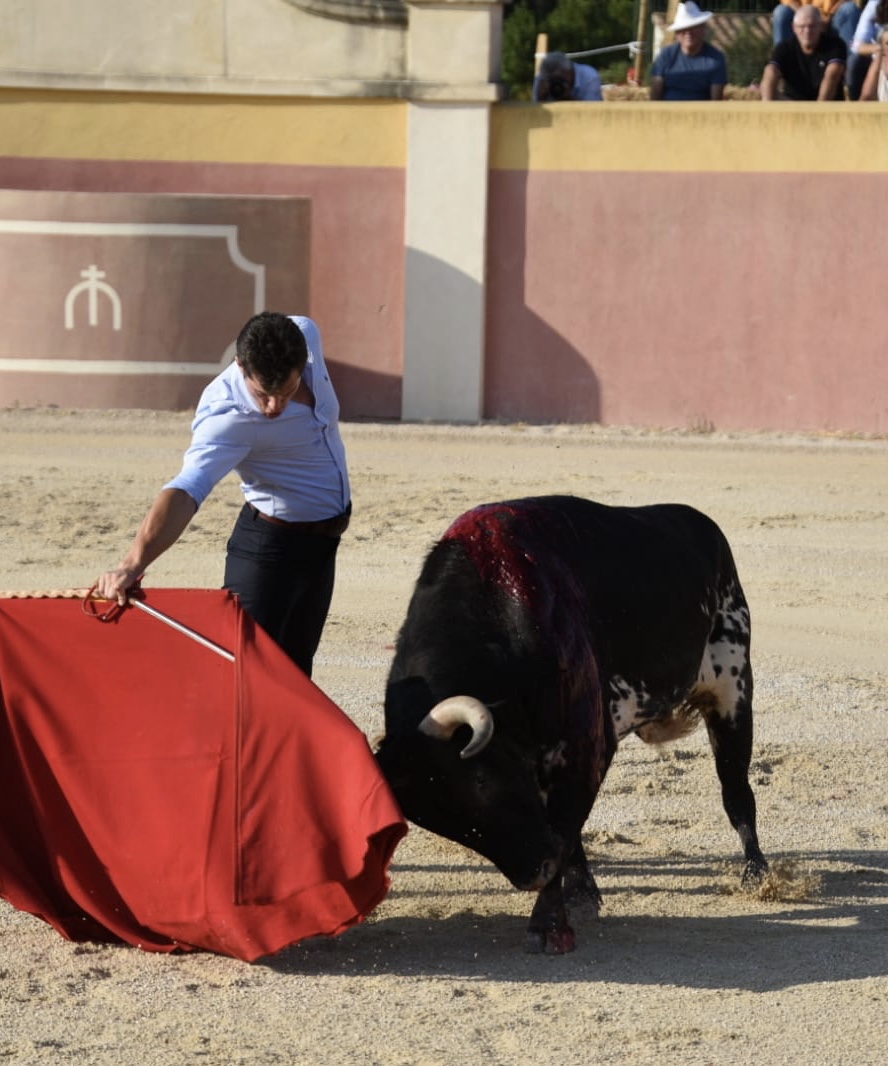 Tentadero de Daniel Luque en Valverde y Concha y Sierra