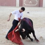 Tentadero de Daniel Luque en Valverde y Concha y Sierra