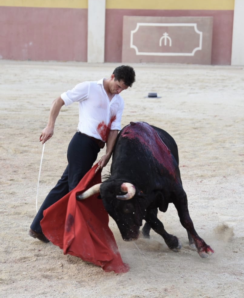 Tentadero de Daniel Luque en Valverde y Concha y Sierra