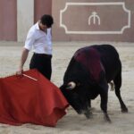 Tentadero de Daniel Luque en Valverde y Concha y Sierra