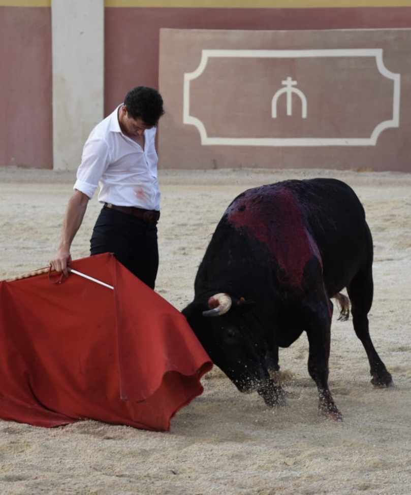 Tentadero de Daniel Luque en Valverde y Concha y Sierra