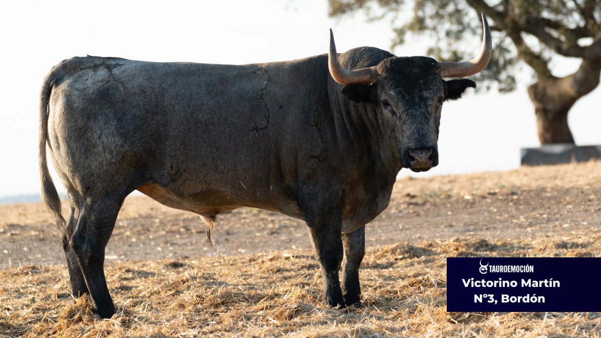 De Bordón a Muralista, los seis espectaculares victorinos para Villanueva del Arzobispo