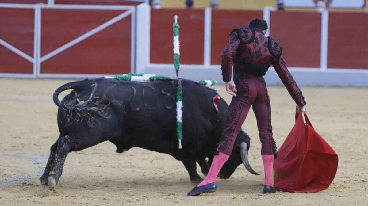 Dos orejas para David de Miranda y un Feriante de lujo en Ubrique
