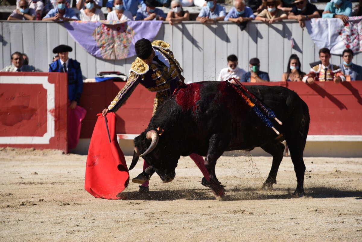 Adam Samira y Fabien Castellani, trofeos en la matinal de Arles