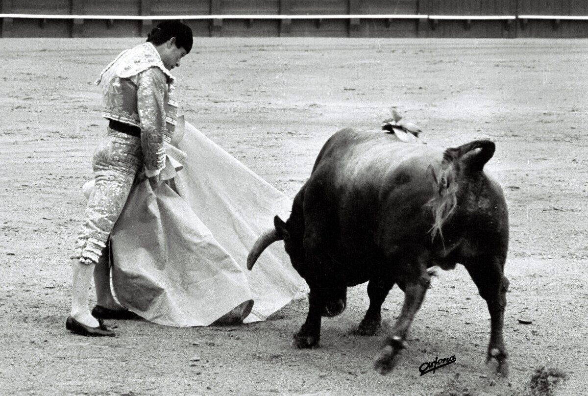 “El que no quiere a Curro no quiere a su madre” vs “El arte lo tiene para esquivar almohadillas”