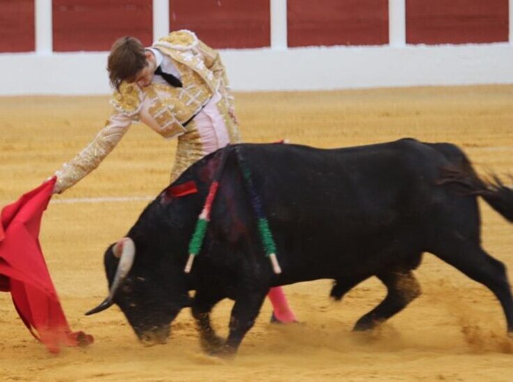 Gran novillada de Domínguez Camacho y triunfo de Cabrera y González-Écija