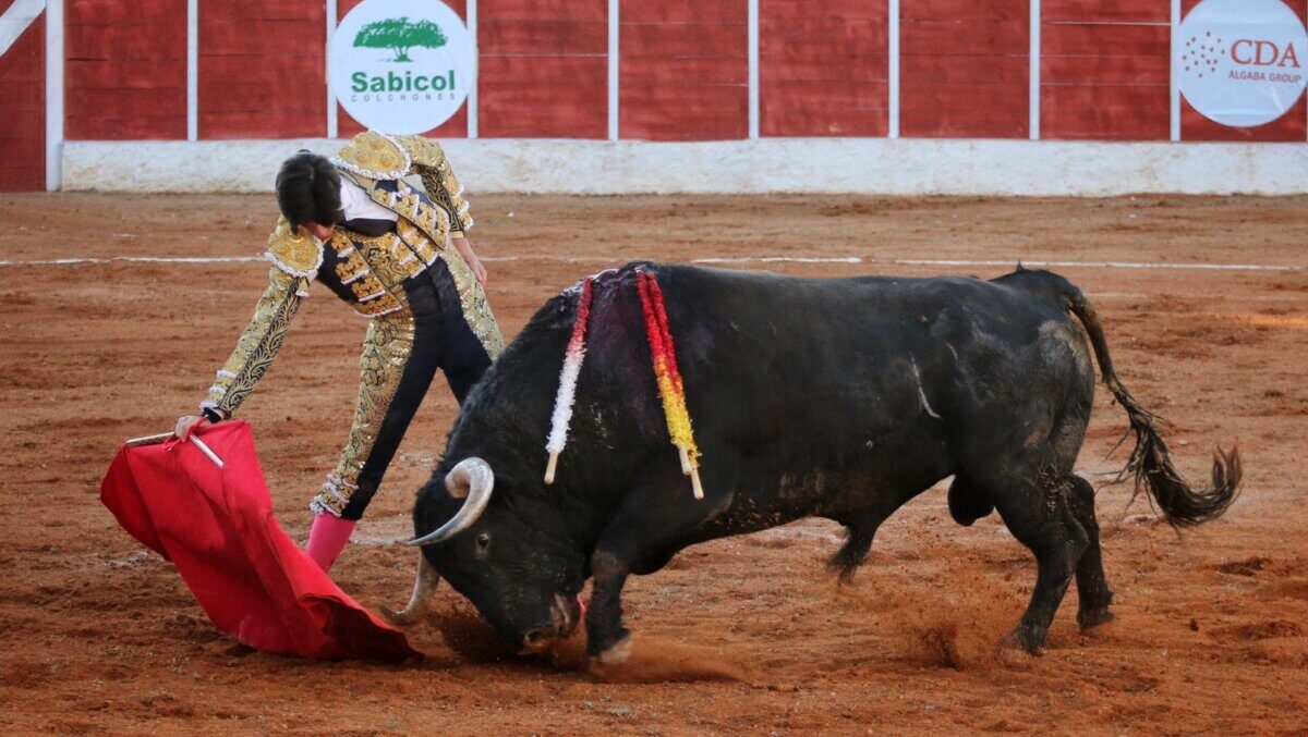 Tres orejas para Esaú y un bravo Filigrana de Buenavista
