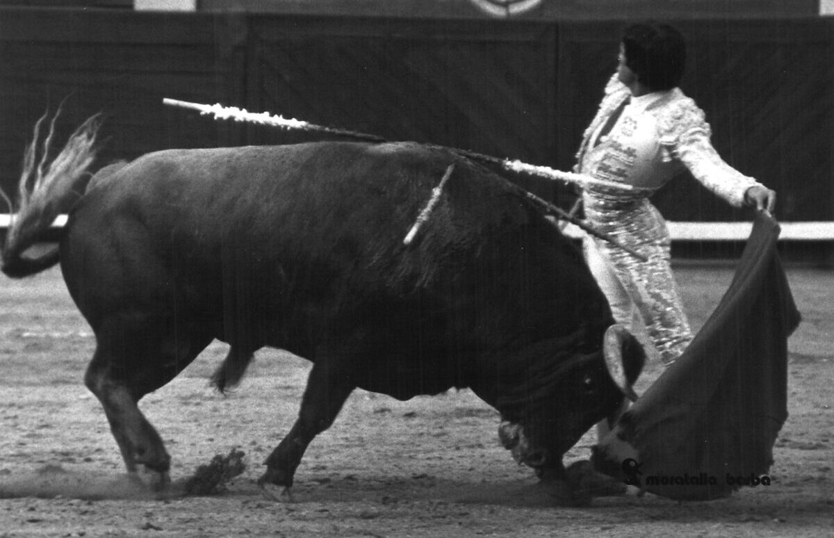 "Palomo Linares arrollaba la razón a costa de muchas volteretas"