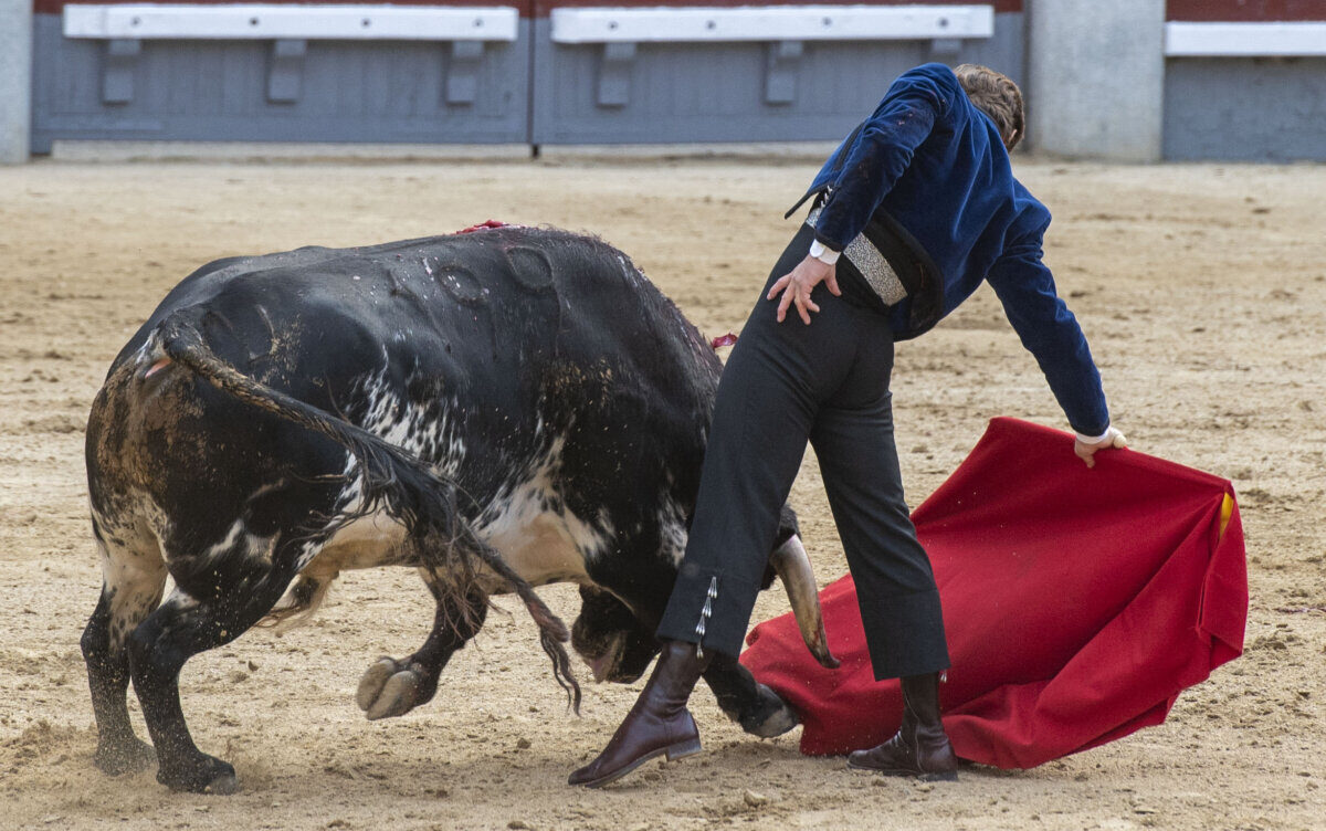 Juli, Manzanares y su dos de mayo