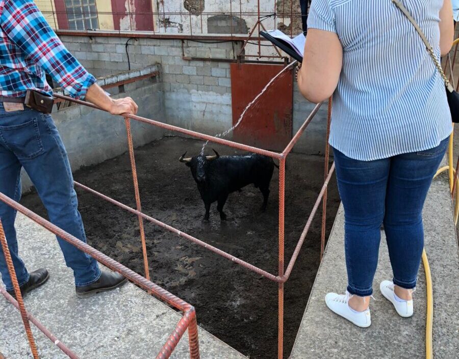 Borja Domecq: “Mi padre nos echará una mano desde arriba”
