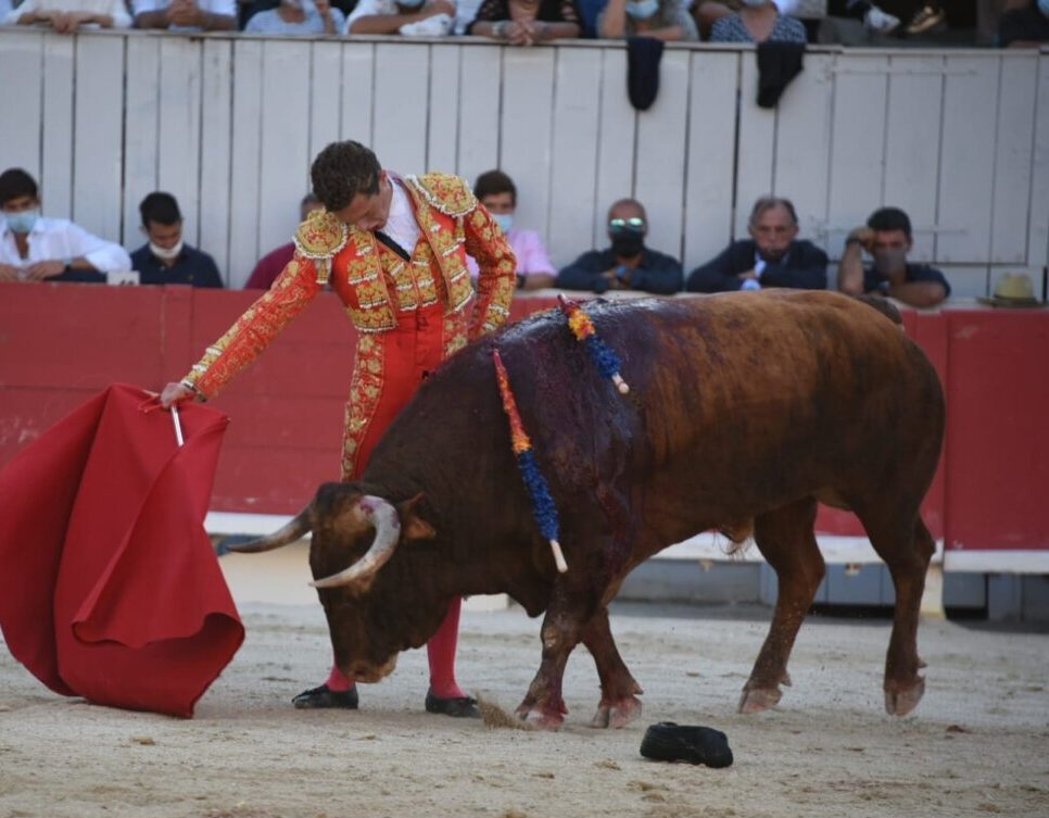 Adrien Salenc y "Afortunado", bravo encuentro en Arles