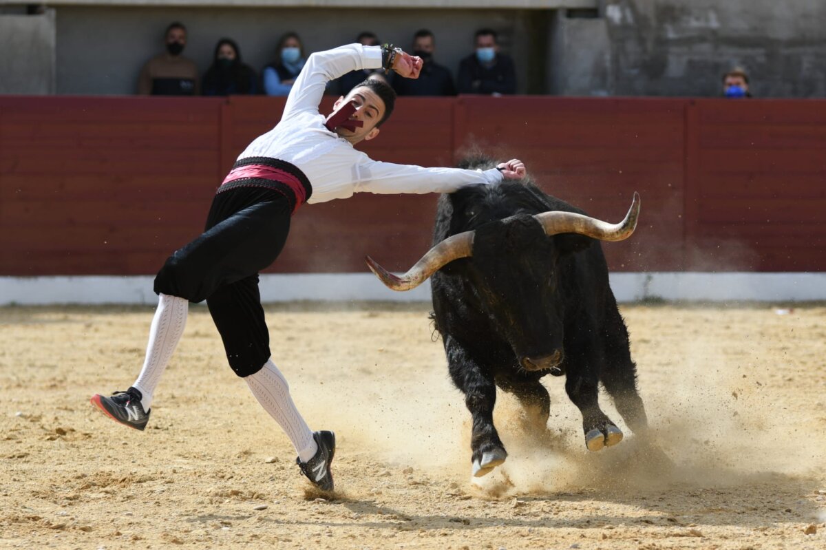Así ha sido el primer festejo taurino celebrado en España en 2021