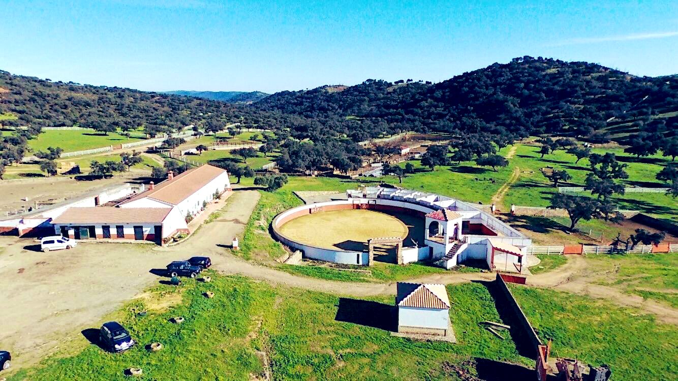 Soto de la Fuente compra la ganadería Los Azores