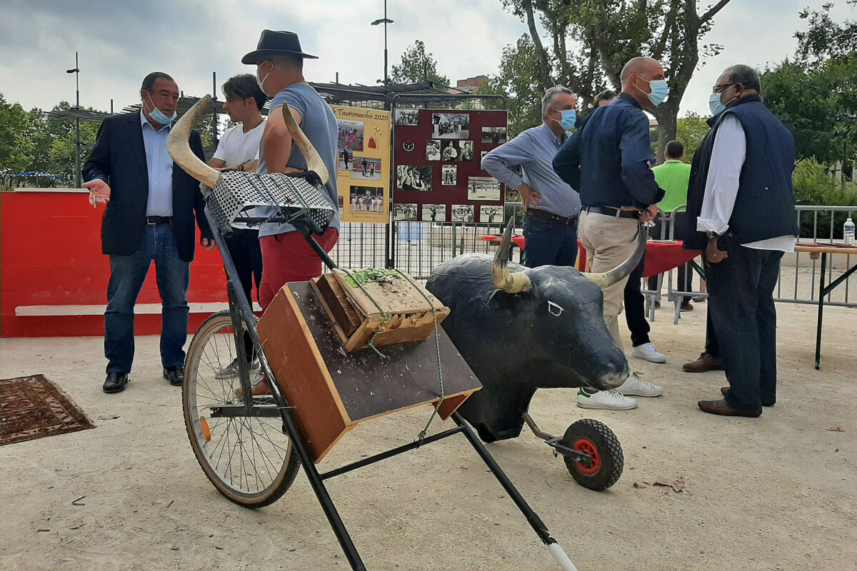 Exhibición solidaria de toreo de salón en Guadix
