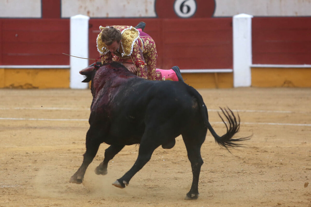 Momentos de angustia con Román