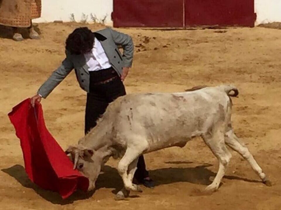 Morante se inspira en Prieto de la Cal