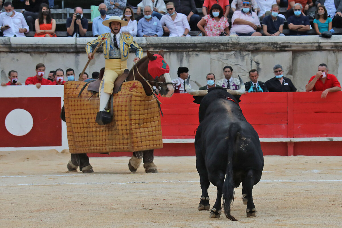 "La suerte de varas no cumple los objetivos clásicos para los que se diseñó, deberían ser replanteados"