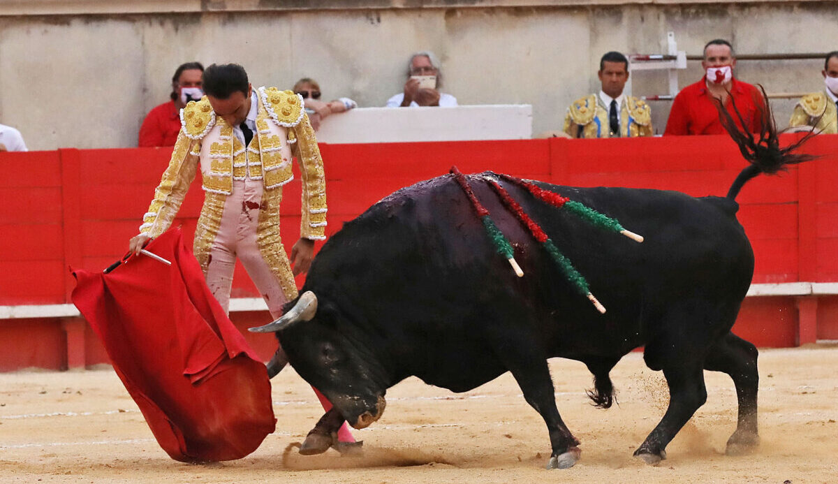 Borrachera de arte y armonía