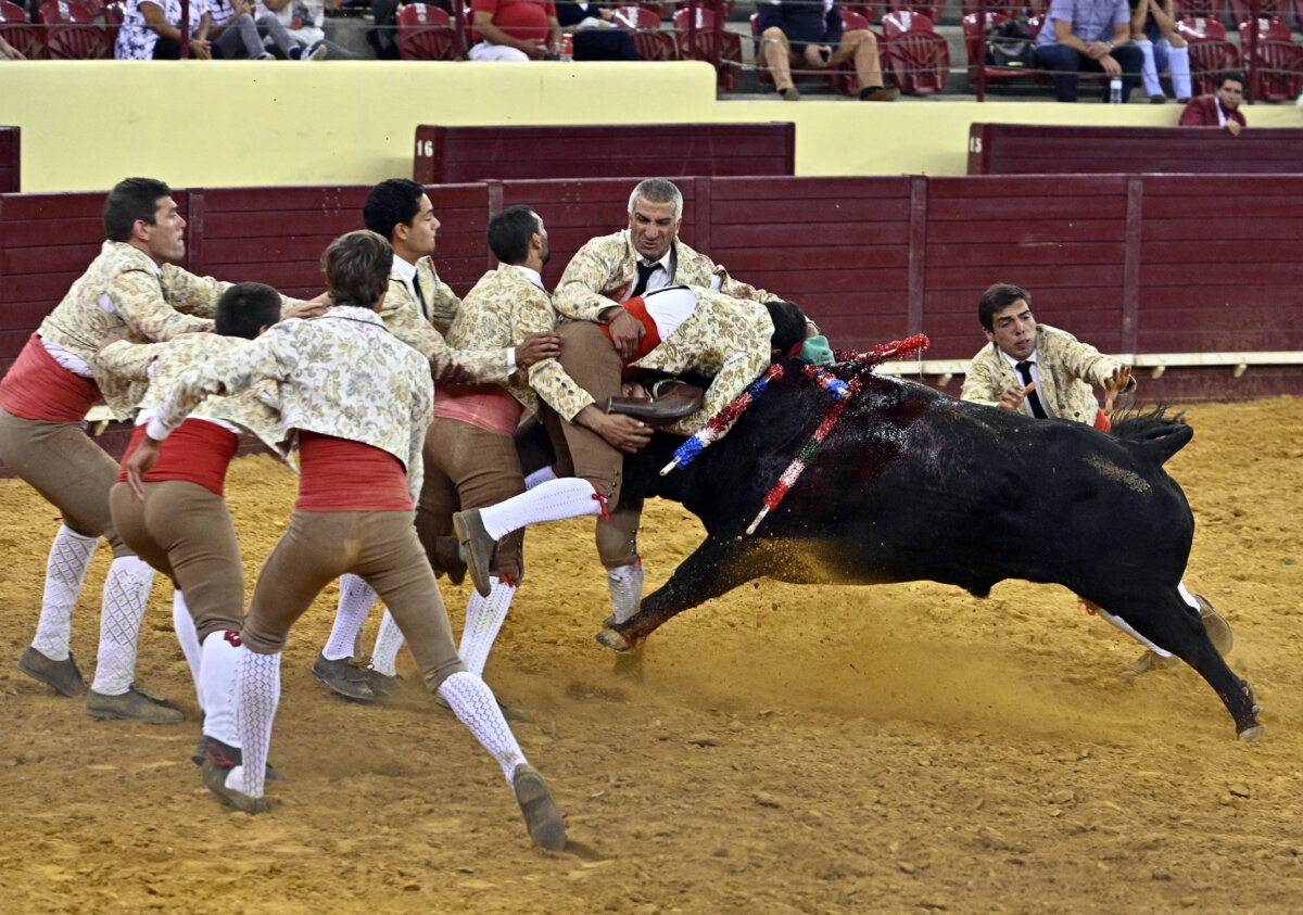 Los forcados de Alcochete se llevan la noche en Lisboa