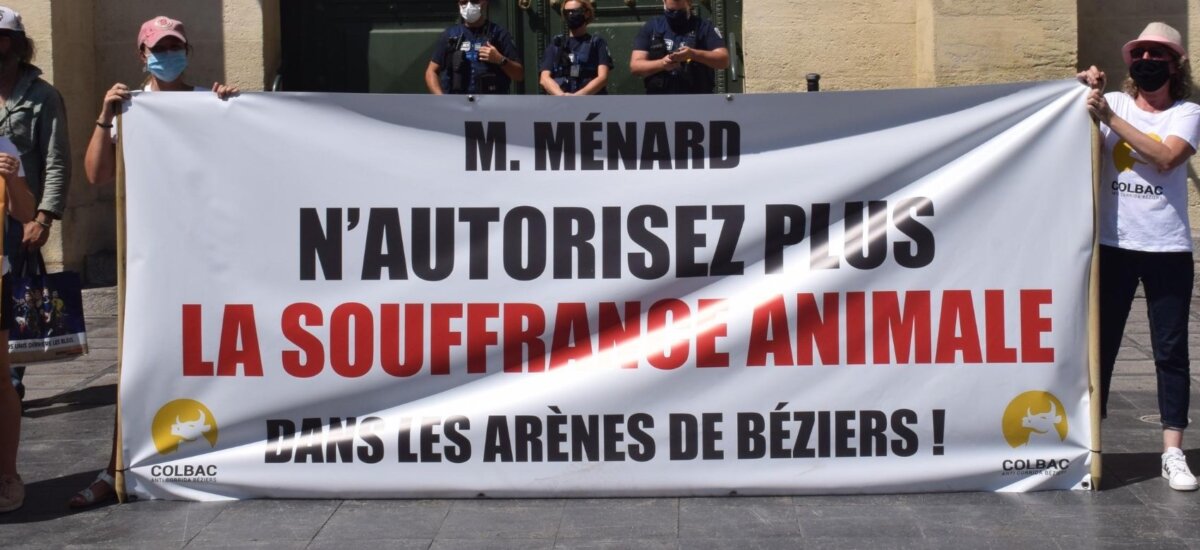 El alcalde de Beziers, a los antitaurinos: "Mientras yo sea alcalde, las corridas seguirán"