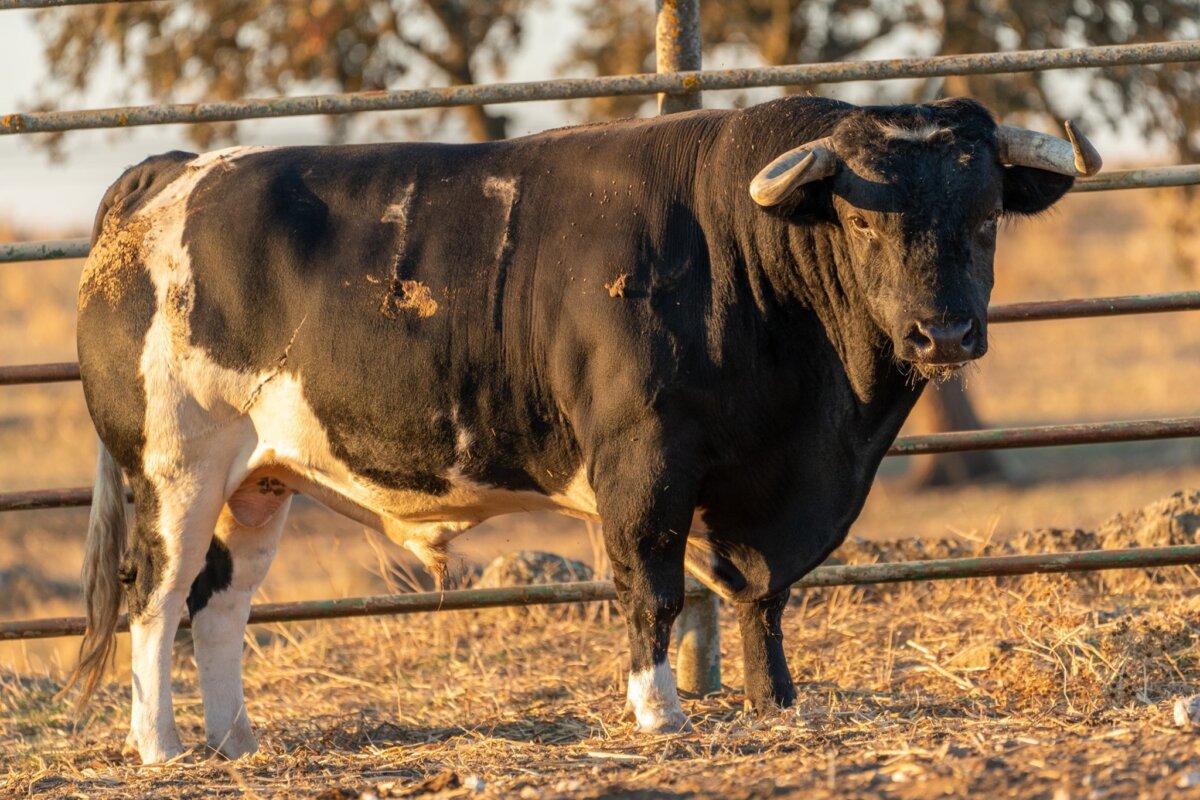 Los de Monteviejo de Victorino para Jaén