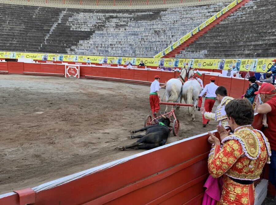 Manizales plantea dar toros a puerta cerrada y transmitidos por Internet
