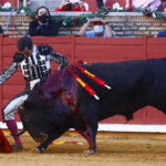 Juan Ortega, doblándose con torería en Córdoba.