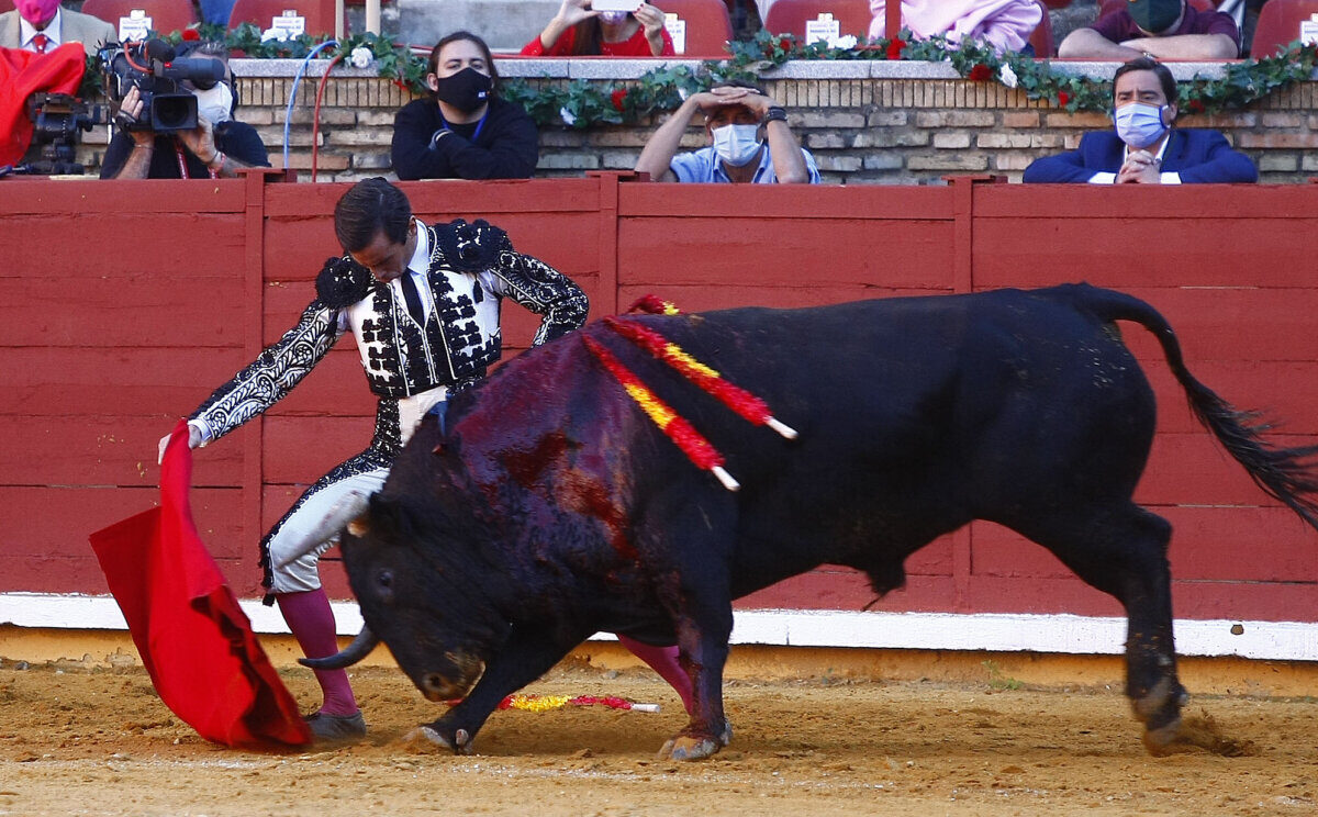 Juan Ortega, doblándose con torería en Córdoba.