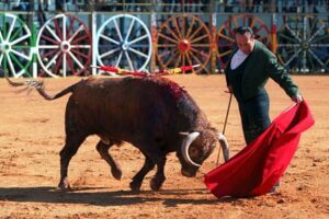 Foto: Sevillatoro / Rafemo