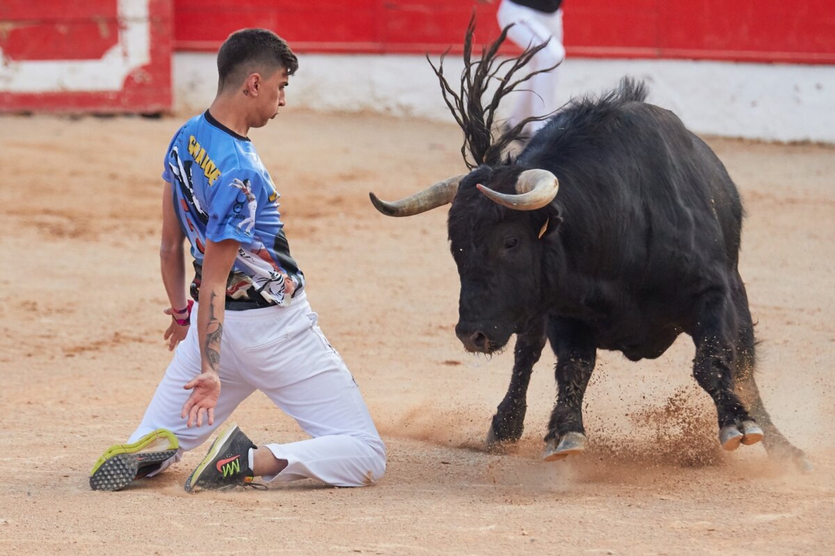 Los mejores recortadores del momento se dan cita en Jaén