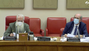 La Comisión de Cultura fue presidida por el diputado socialista Agustín Zamarrón.