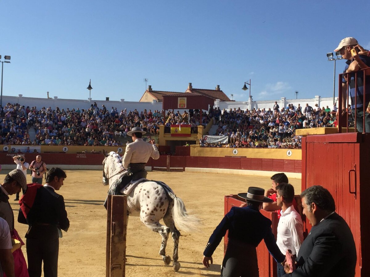 Adjudicadas las obras de reforma de la centenaria plaza de toros de Alagón