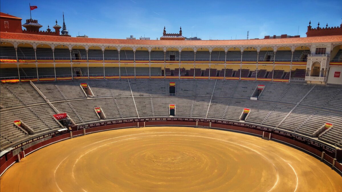 Hay que abrir las plazas grandes