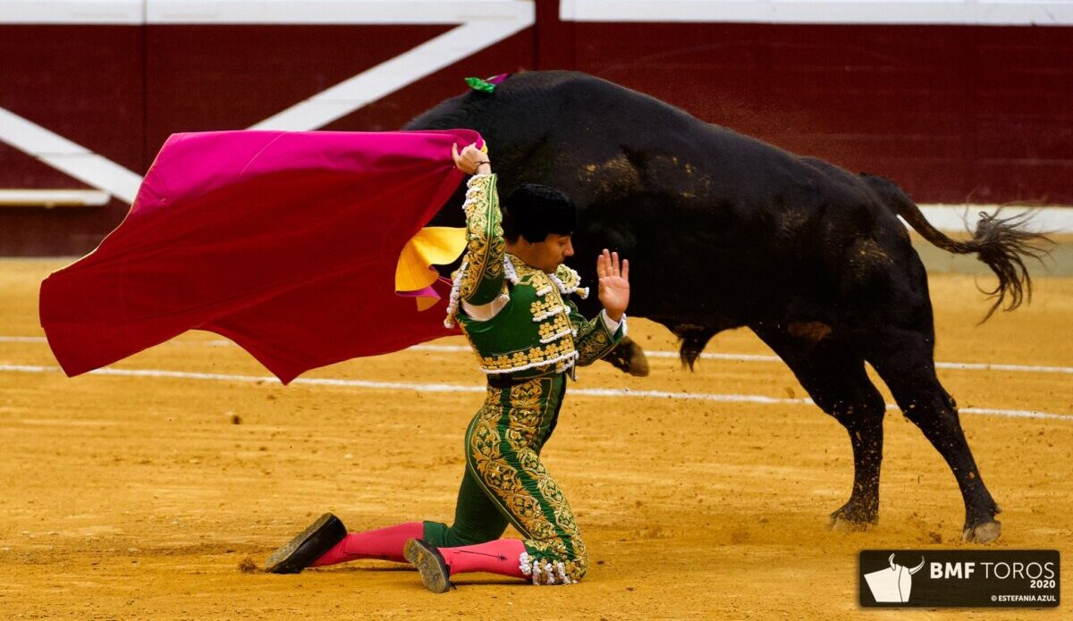 Gómez del Pilar, más bravo que los miuras